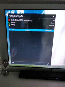 Kanal med fungerande ljud